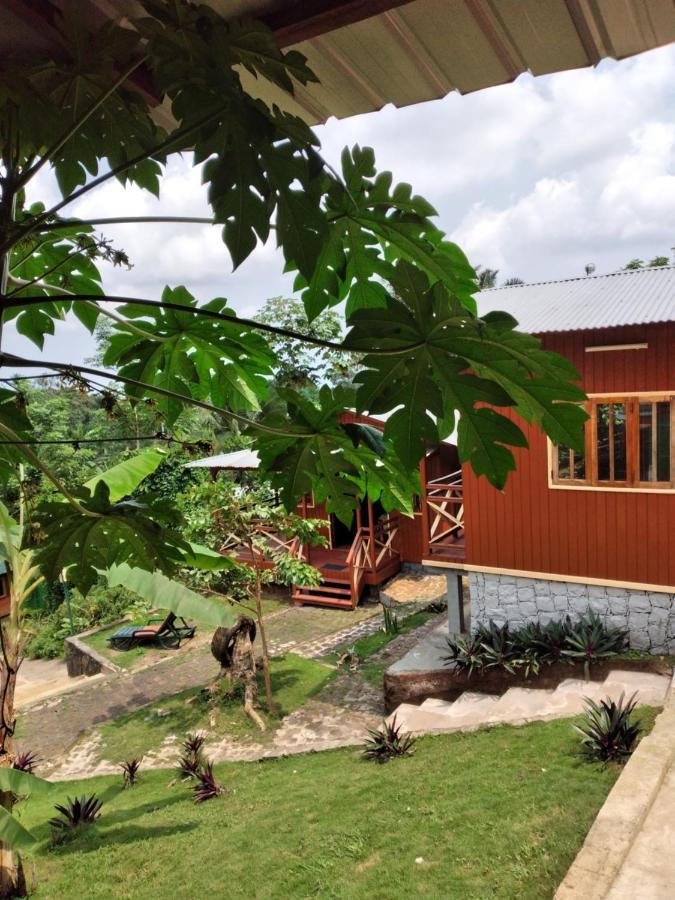 Guest House Quinta Natural Bangalots Graca Екстериор снимка
