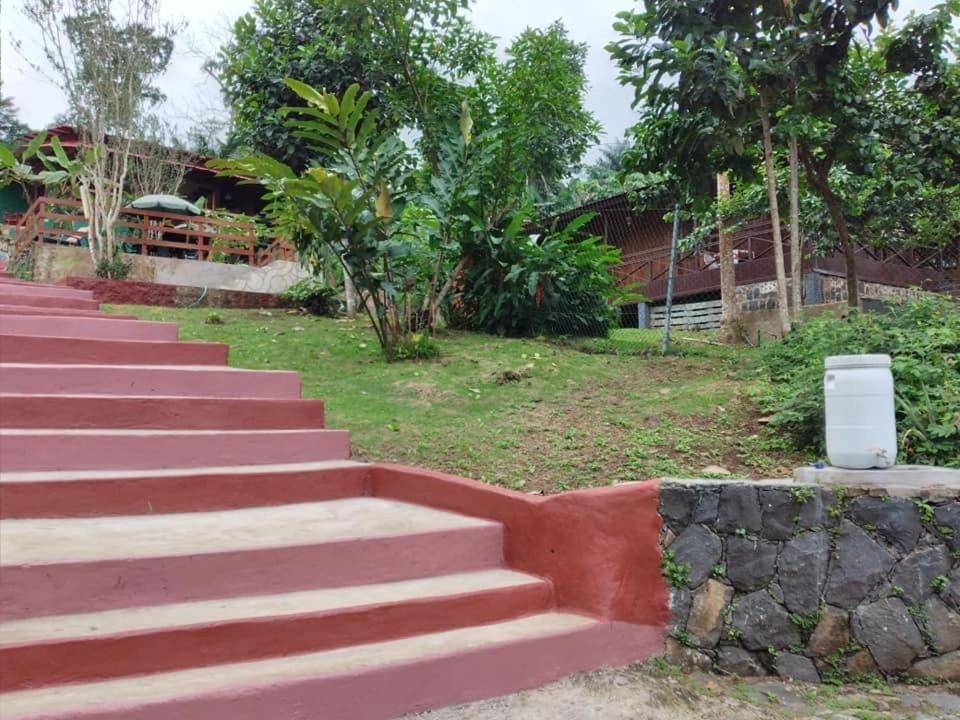 Guest House Quinta Natural Bangalots Graca Екстериор снимка