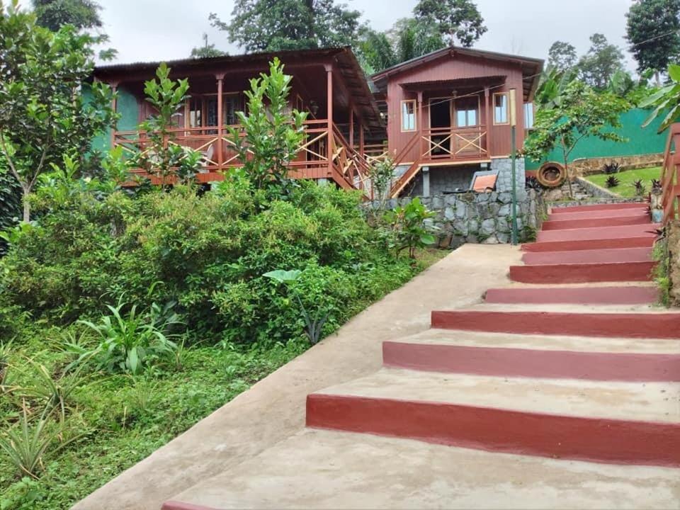 Guest House Quinta Natural Bangalots Graca Екстериор снимка