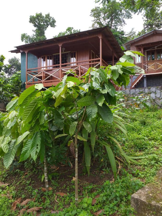 Guest House Quinta Natural Bangalots Graca Екстериор снимка