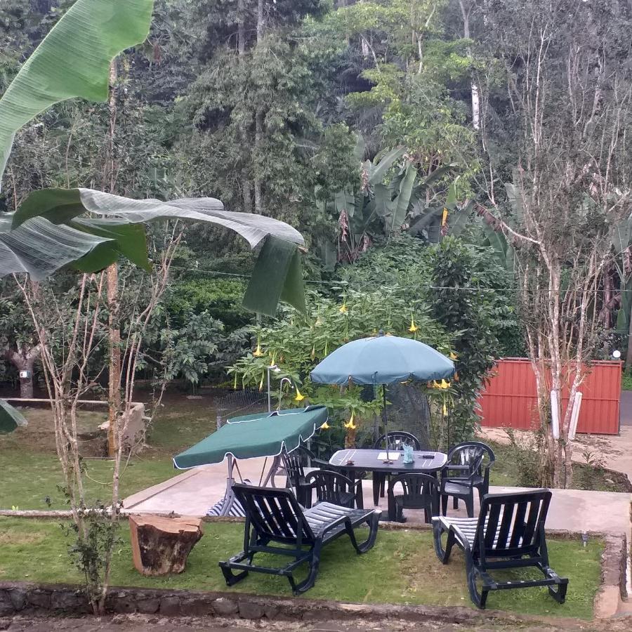Guest House Quinta Natural Bangalots Graca Екстериор снимка