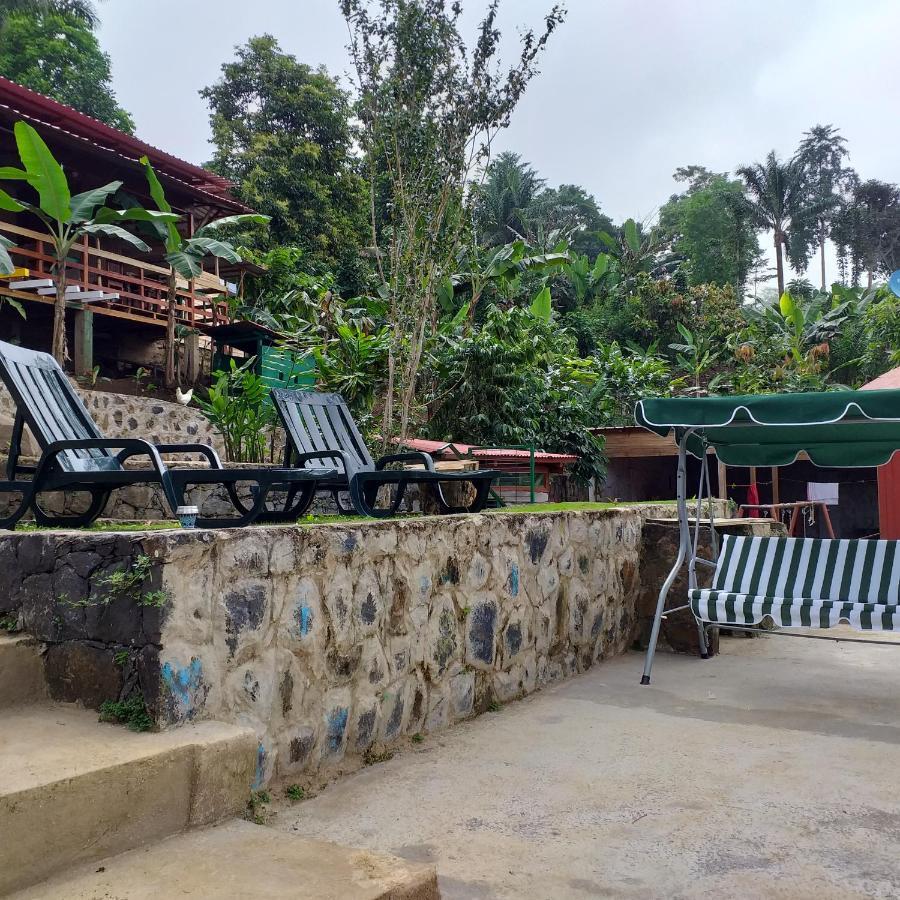 Guest House Quinta Natural Bangalots Graca Екстериор снимка