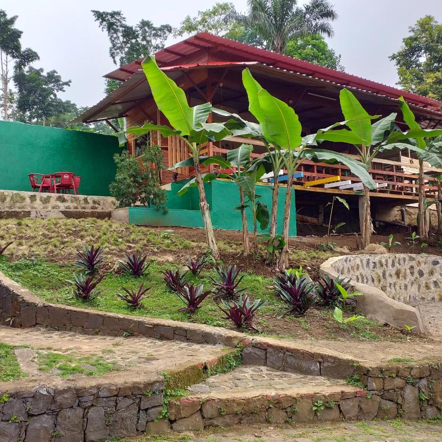 Guest House Quinta Natural Bangalots Graca Екстериор снимка